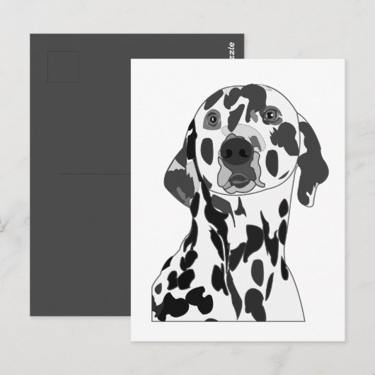 Dalmatiër Briefkaart (Voorkant / Achterkant)