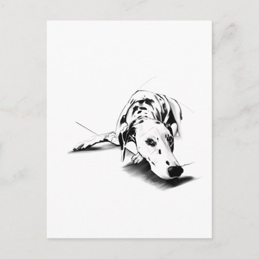 Dalmatiër-hond ansichtkaart – Handgetekend Briefkaart (Voorkant)
