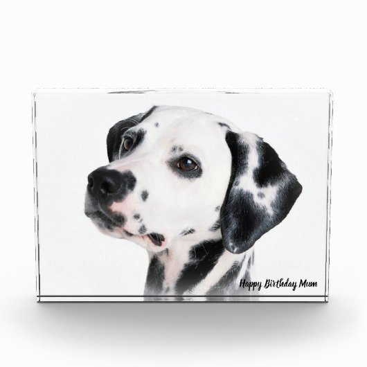 Dalmatiër hond. fotoblokken (Voorkant)