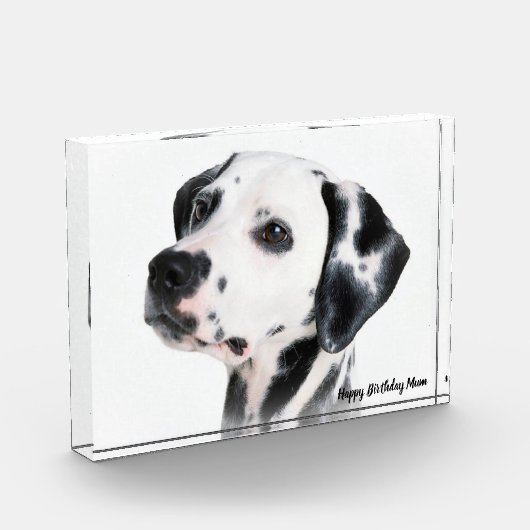 Dalmatiër hond. fotoblokken (Links)