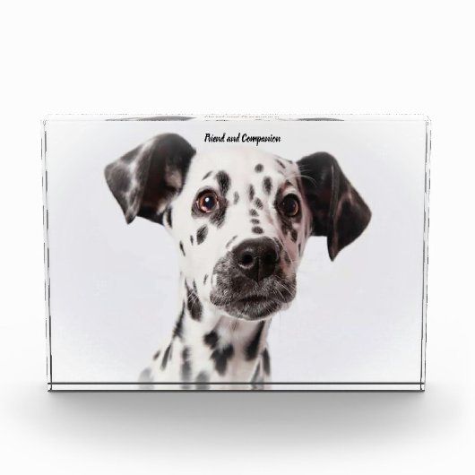 Dalmatiër hond. fotoblokken (Voorkant)