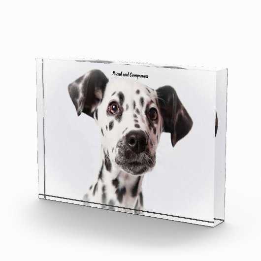 Dalmatiër hond. fotoblokken (Rechts)
