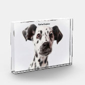 Dalmatiër hond. fotoblokken (Links)