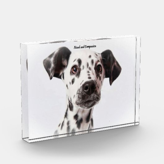 Dalmatiër hond. fotoblokken (Links)
