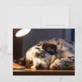 DALMATIËR HOND SLAPEN POSTCROSSING BRIEFKAART (Voorkant / Achterkant)