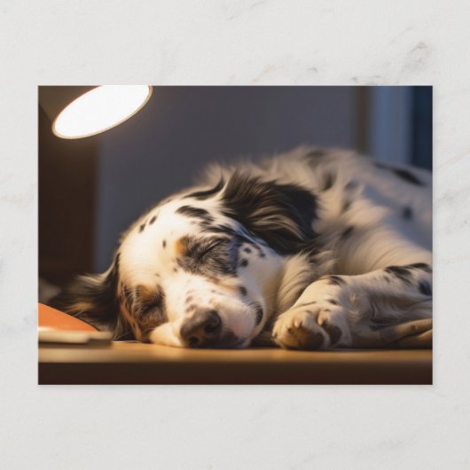 DALMATIËR HOND SLAPEN POSTCROSSING BRIEFKAART (Voorkant)