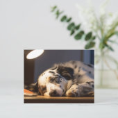 DALMATIËR HOND SLAPEN POSTCROSSING BRIEFKAART (Staand voorkant)