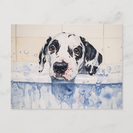 Dalmatiër hondenbad tijd schilderij briefkaart (Voorkant)