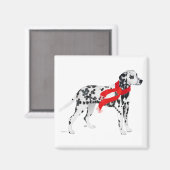 Dalmatiër in een rode sjaal magneet (Voorkant / Achterkant)