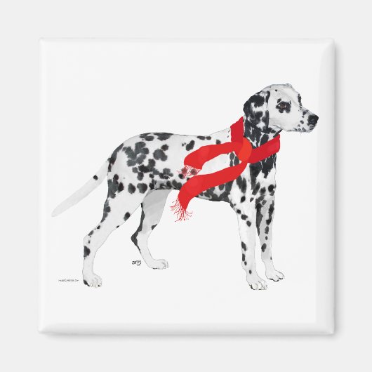 Dalmatiër in een rode sjaal magneet (Voorkant)