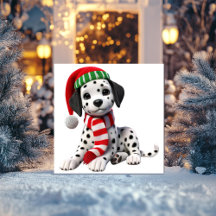 Dalmatiër in kerstmuts