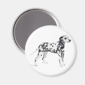 Dalmatiër Magneet (Voorkant / Achterkant)
