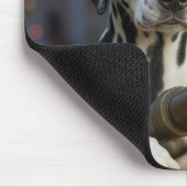 Dalmatiër Met een Brandslang Muismat (Hoek)