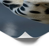 Dalmatiër Met een Brandslang Perfect Poster (Hoek)