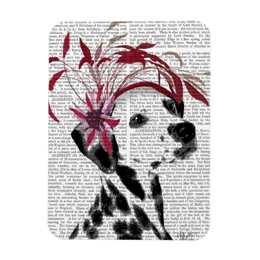 Dalmatiër met rode fascinator magneet (Verticaal)