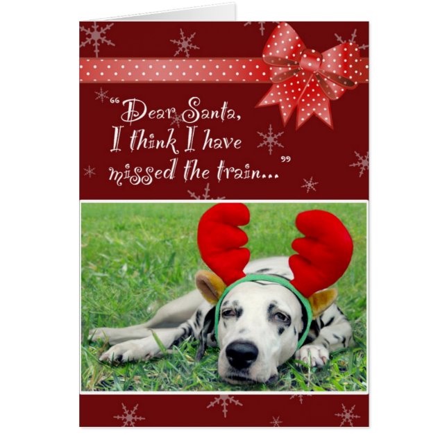 Dalmatiër Miss Train Red (Voorkant)