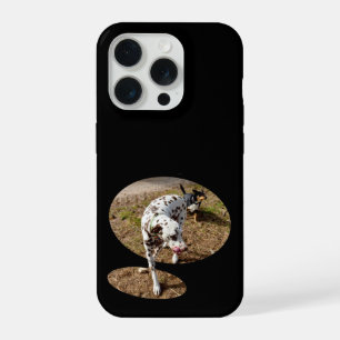 Dalmatiër stapt uit vensterframe, iPhone 15 pro case
