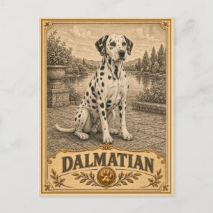 Dalmatiër, Vintage Heritage Hond Briefkaart