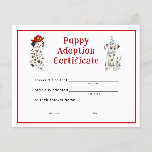 Dalmatiërs Jongen Partij Puppy Adoptie Certificaat (Voorkant)