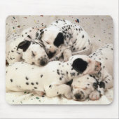 Dalmaties Muismat (Voorkant)
