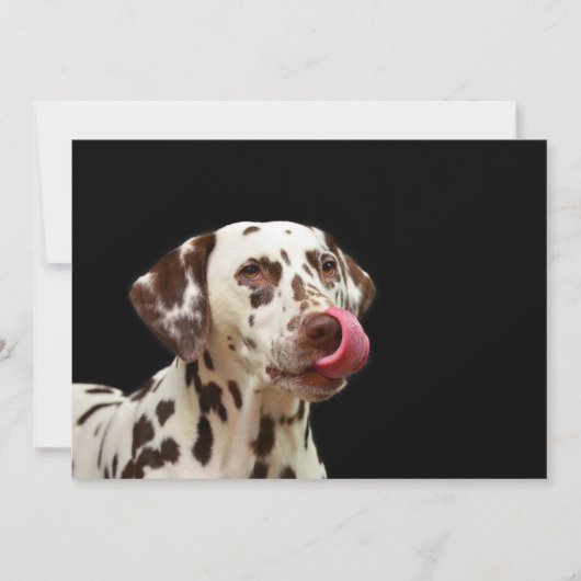 Dalmatiner Bedankkaart (Voorkant)