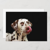 Dalmatiner Bedankkaart (Voorkant / Achterkant)