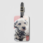 Dalmatiner Hart Neus Bagagelabel (Voorkant (verticaal))