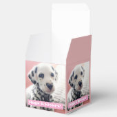 Dalmatiner Hart Neus Bedankdoosjes (Geopend)