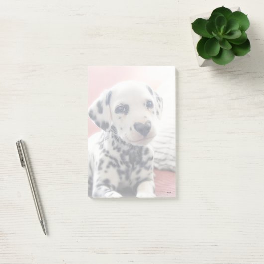 Dalmatiner Hart Neus Post-it® Notes (Kantoor)