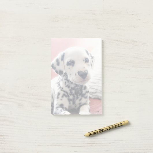 Dalmatiner Hart Neus Post-it® Notes (Op bureau)