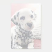 Dalmatiner Hart Neus Post-it® Notes (Voorkant)