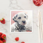 Dalmatiner Hart Neus Servet (Insitu)