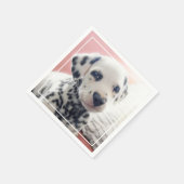 Dalmatiner Hart Neus Servet (Hoek)