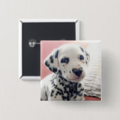 Dalmatiner Hart Neus Vierkante Button 5,1 Cm (Voorkant /achterkant)