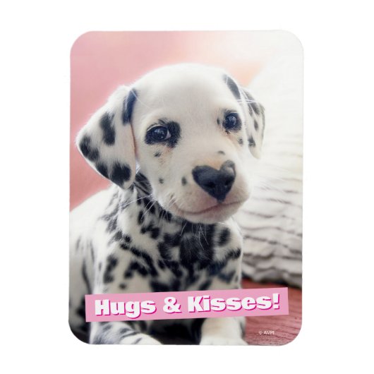 Dalmatiner Hartneus Magneet (Verticaal)