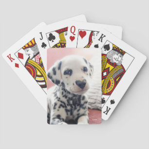 Dalmatiner Hartneus Pokerkaarten
