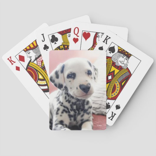 Dalmatiner Hartneus Pokerkaarten (Achterkant)