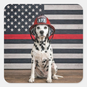 Dalmatiner hond met brandweerhelm vierkante sticker