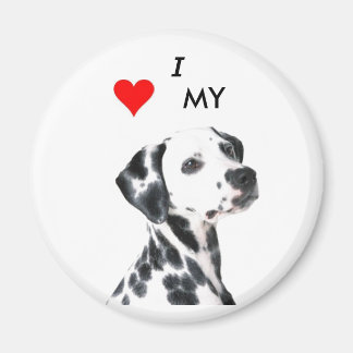 dalmation1, VBRSMCA27ZNVGCAQG0F1BCAMZLQ8CCA0X9H... Magneet
