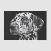 Dalmation Dog Black & White-ontkoppeling Tissuepapier (Voorkant)