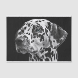 Dalmation Dog Black & White-ontkoppeling Tissuepapier