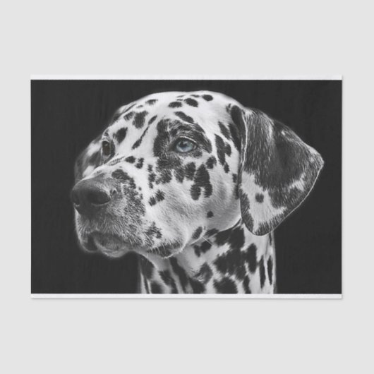 Dalmation Dog Black & White-ontkoppeling Tissuepapier (Voorkant)