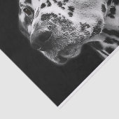 Dalmation Dog Black & White-ontkoppeling Tissuepapier (Detail)