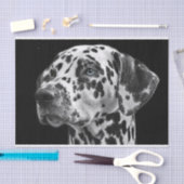 Dalmation Dog Black & White-ontkoppeling Tissuepapier (Craft)