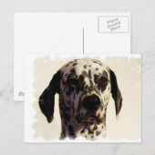 Dalmation Dog Briefkaart (Voorkant / Achterkant)