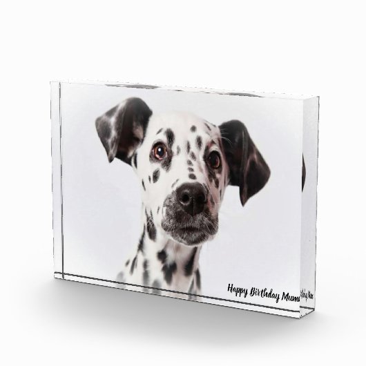 Dalmation Dog. Fotoblokken (Rechts)