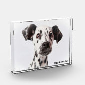 Dalmation Dog. Fotoblokken (Links)