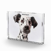 Dalmation Dog. Fotoblokken (Rechts)