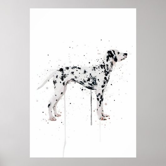  Dalmation Dog Poster (Voorkant)