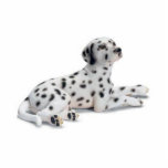 Dalmation Foto stand-up cut-out Staand Fotobeeldje<br><div class="desc">De beste dang dalmatian die er uitgesneden is. (Niet echt maar je geld waard)</div>